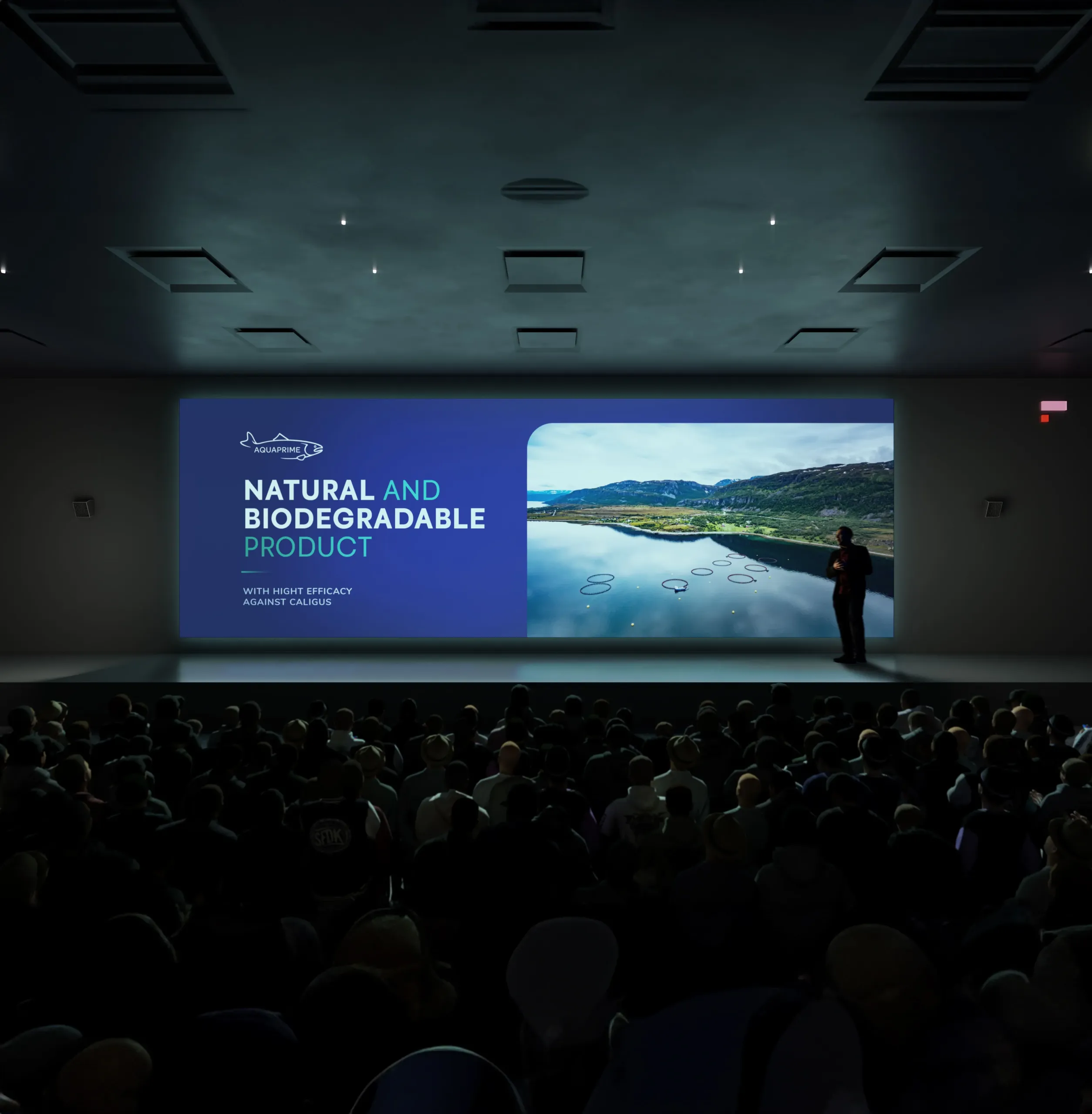 3D Projector Display Screen Mockup 001 copia