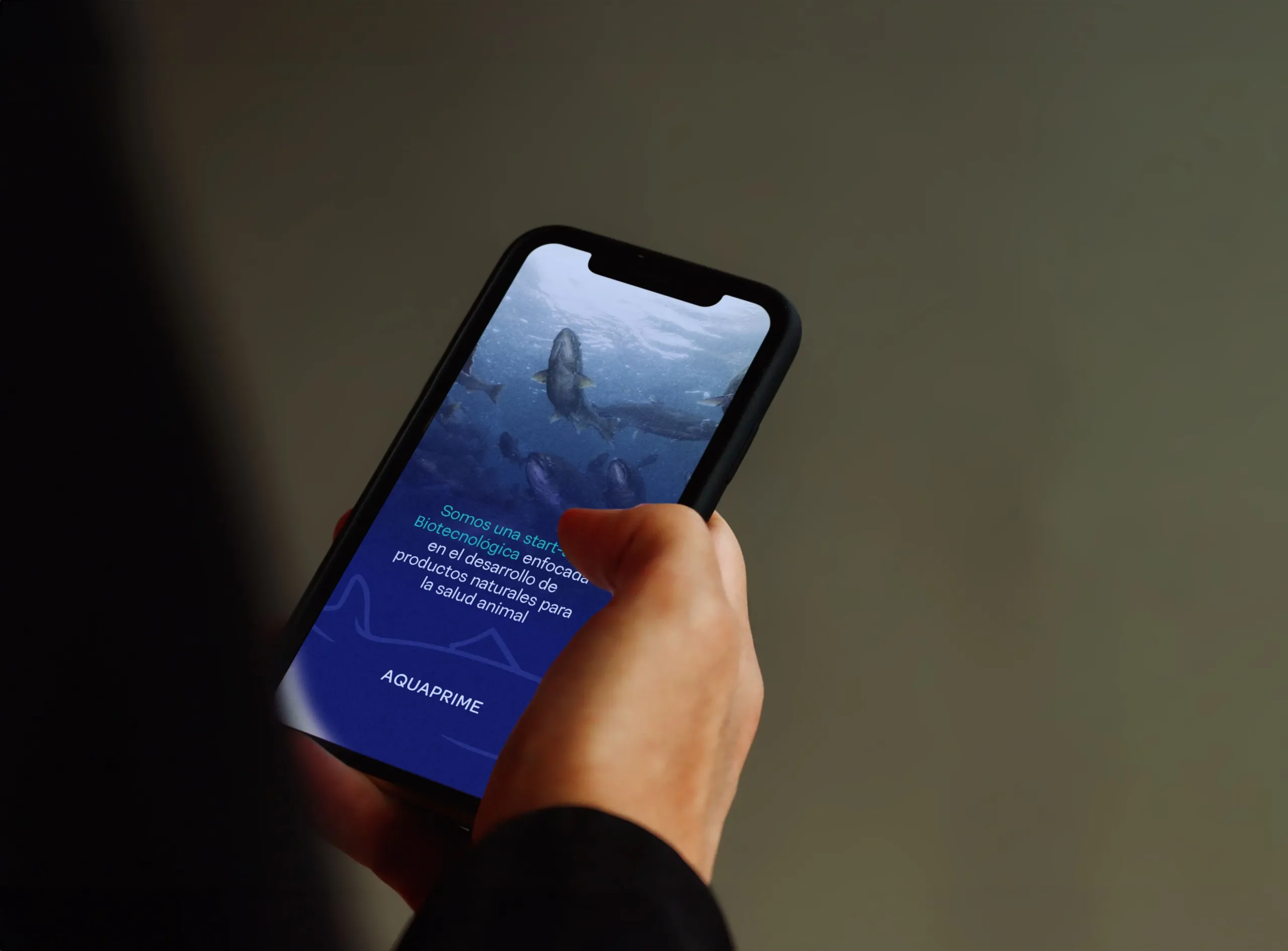Holding Mobile Mockup 01 copia