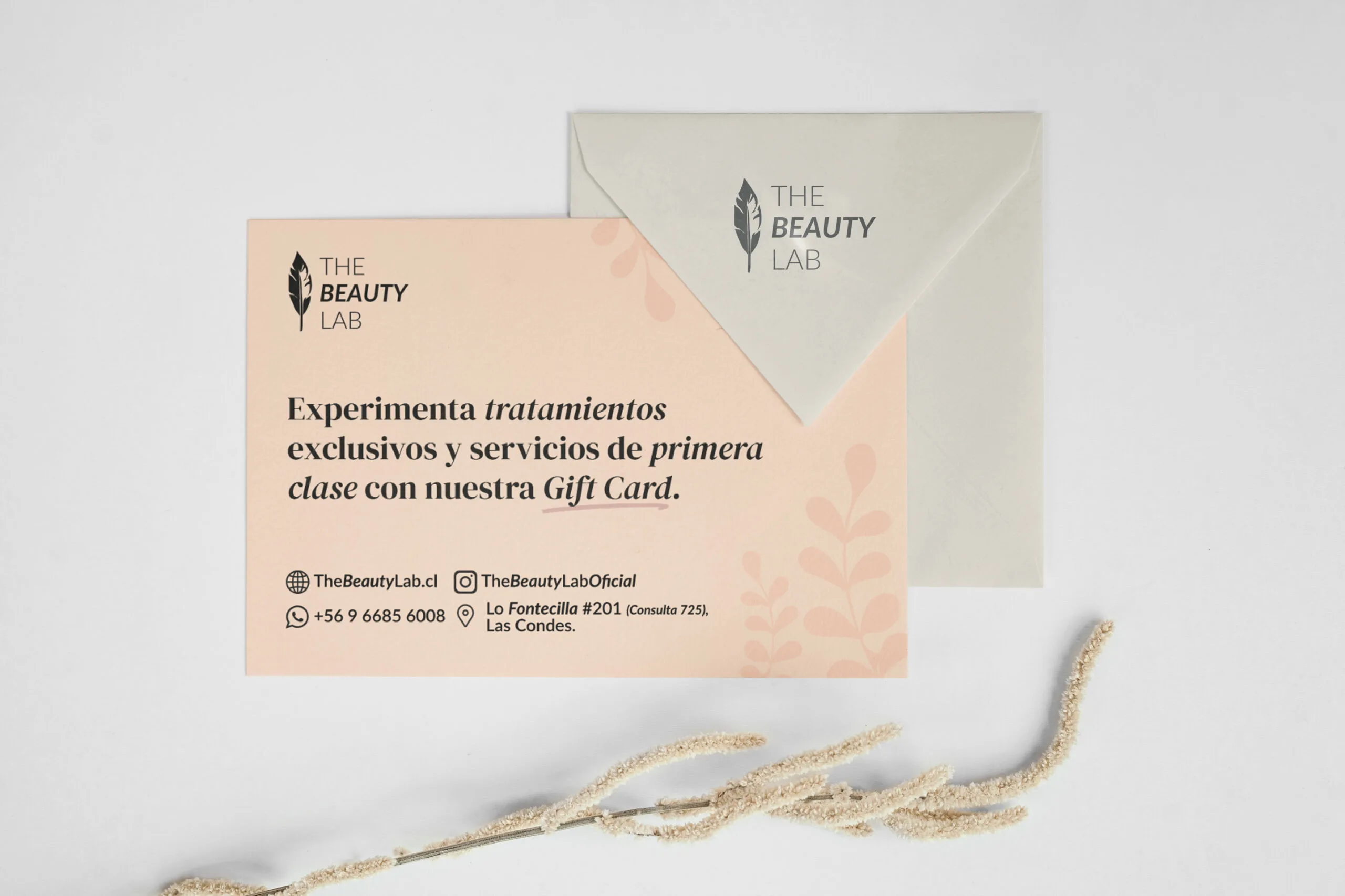 The Beauty Lab