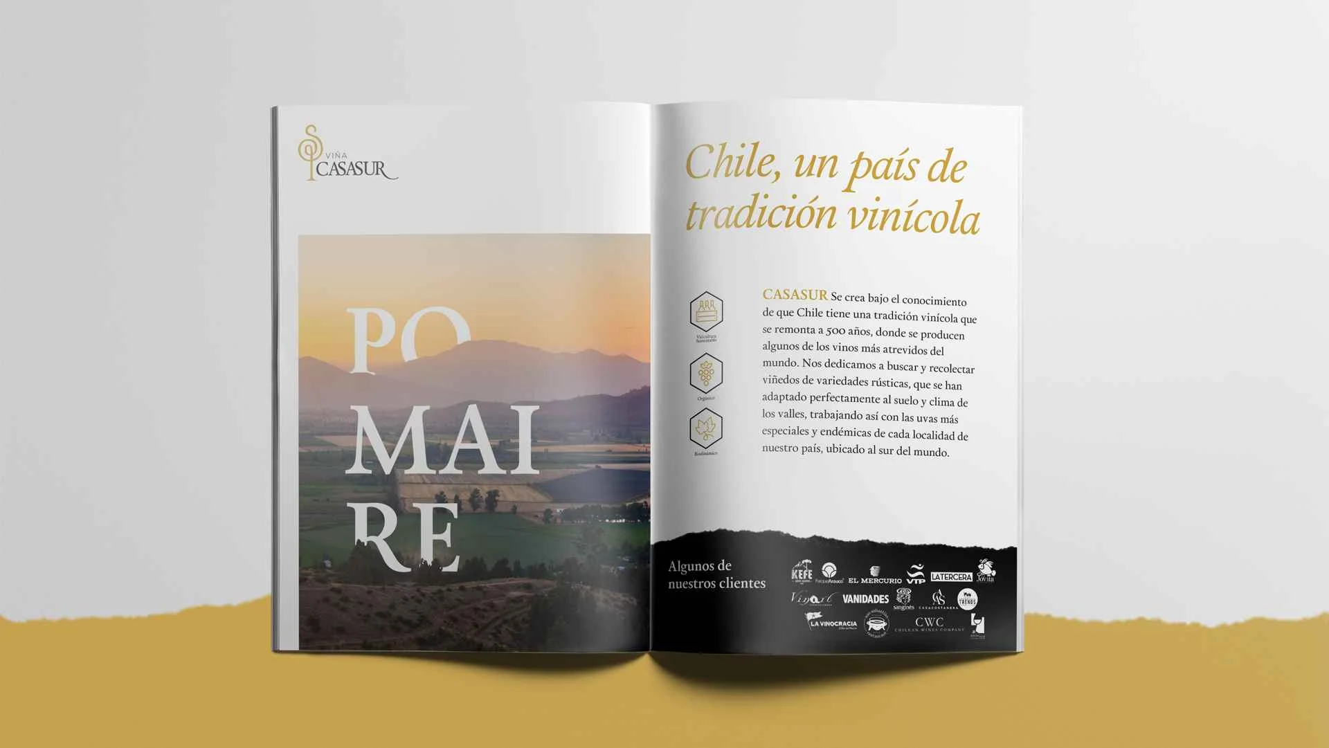 VIÑA CASA SUR · pieza del proyecto 4