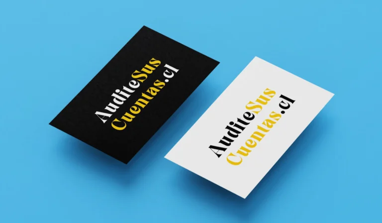 AUDITE SUS CUENTAS · proyecto LAB NAVE