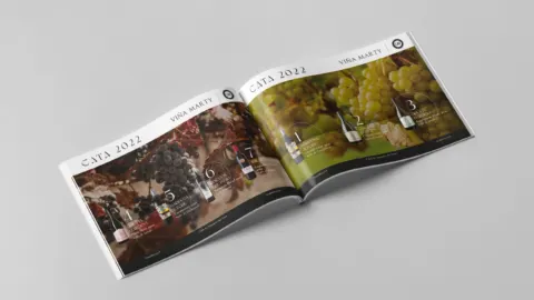VIÑA MARTY · proyecto de LAB NAVE