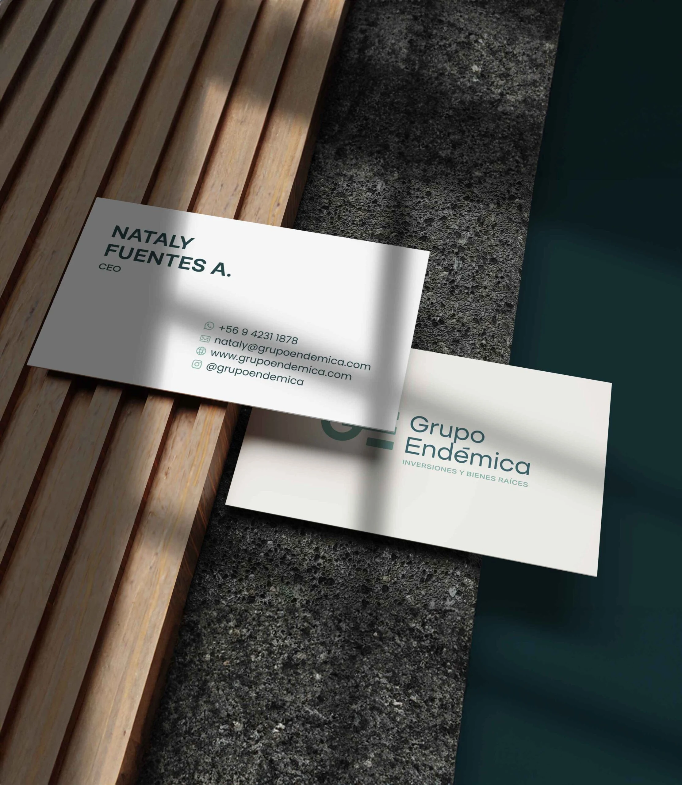 GRUPO ENDÉMICA · pieza del proyecto 6