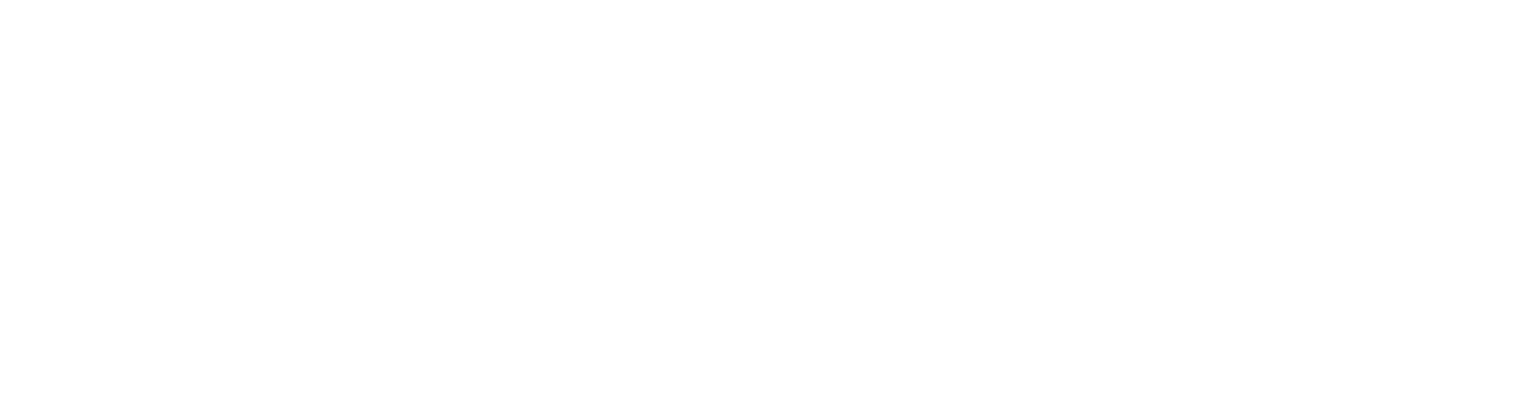 BREVO.png
