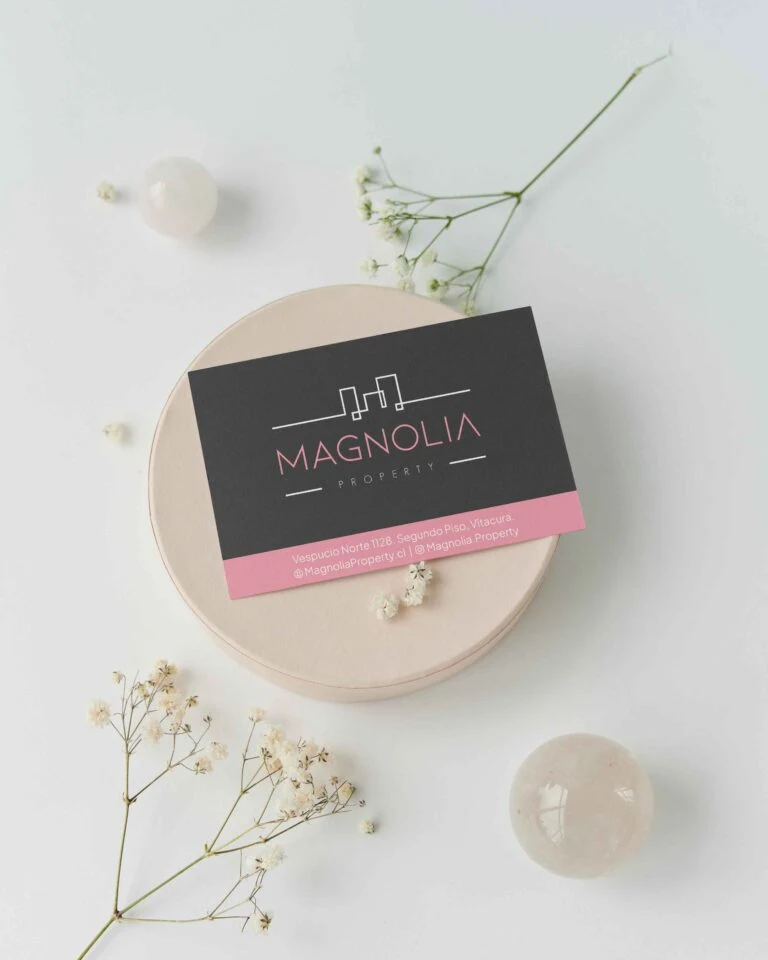 MAGNOLIA PROPERTY · proyecto LAB NAVE