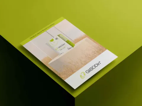 Proyecto GLISODIN · LAB NAVE