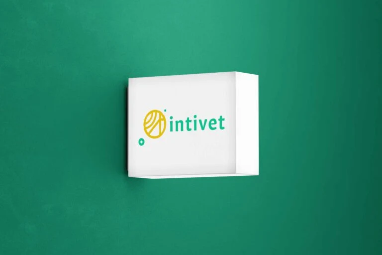 INTIVET · proyecto LAB NAVE