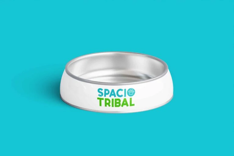 SPACIO TRIBAL · proyecto LAB NAVE