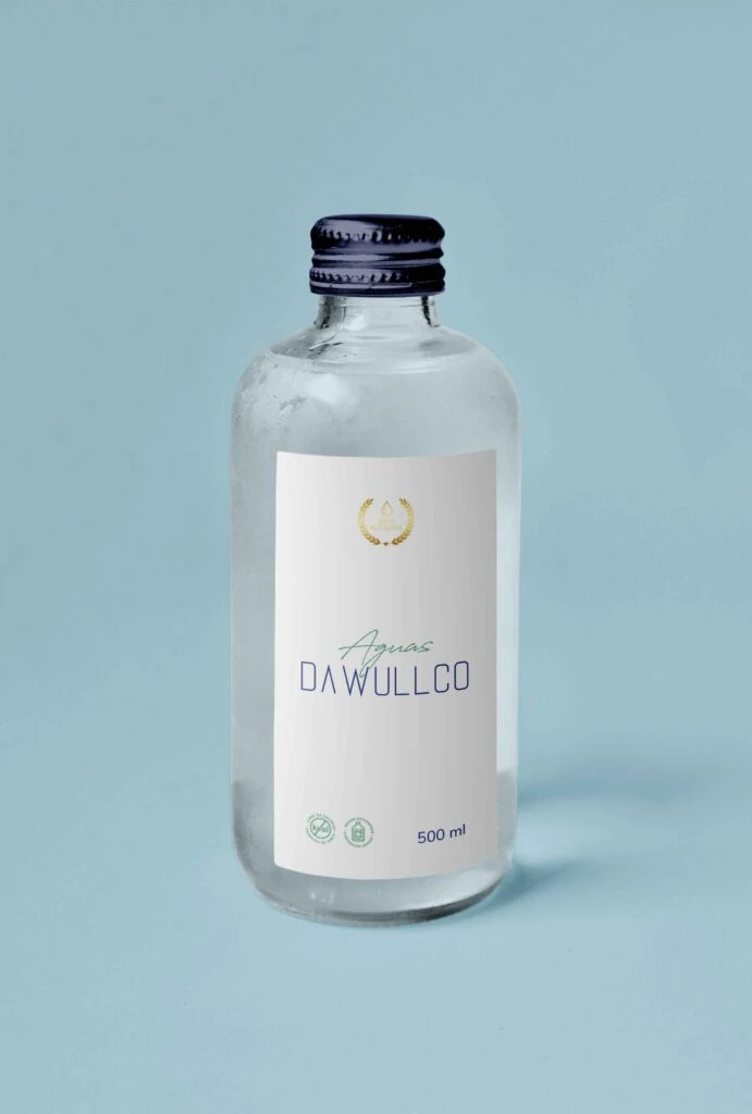 AGUAS DAWULLCO · pieza del proyecto 2