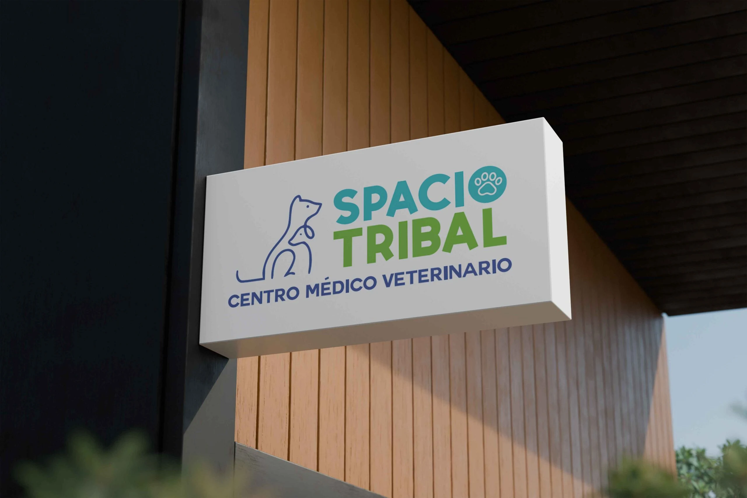 SPACIO TRIBAL · pieza del proyecto 5