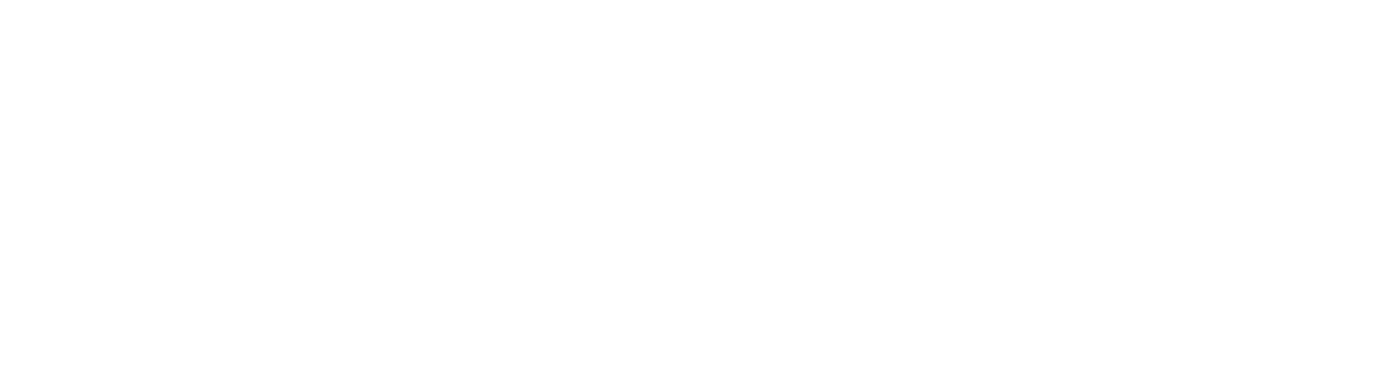 VENTI.png