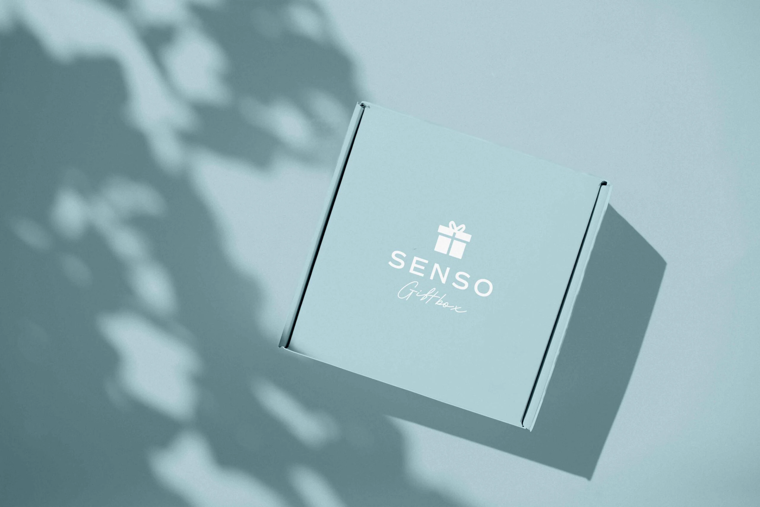 SENSO · pieza del proyecto 1