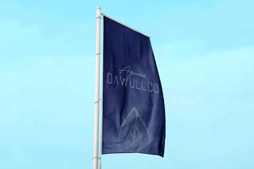 AGUAS DAWULLCO · pieza del proyecto 3
