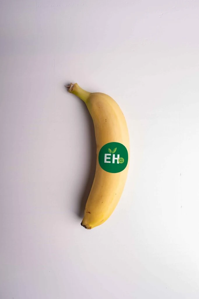 ECOHUERTOS · pieza del proyecto 4